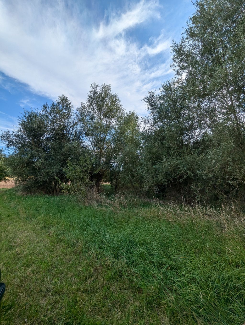 Un paesaggio idilliaco nei pressi di Bamberga, con un laghetto e meli