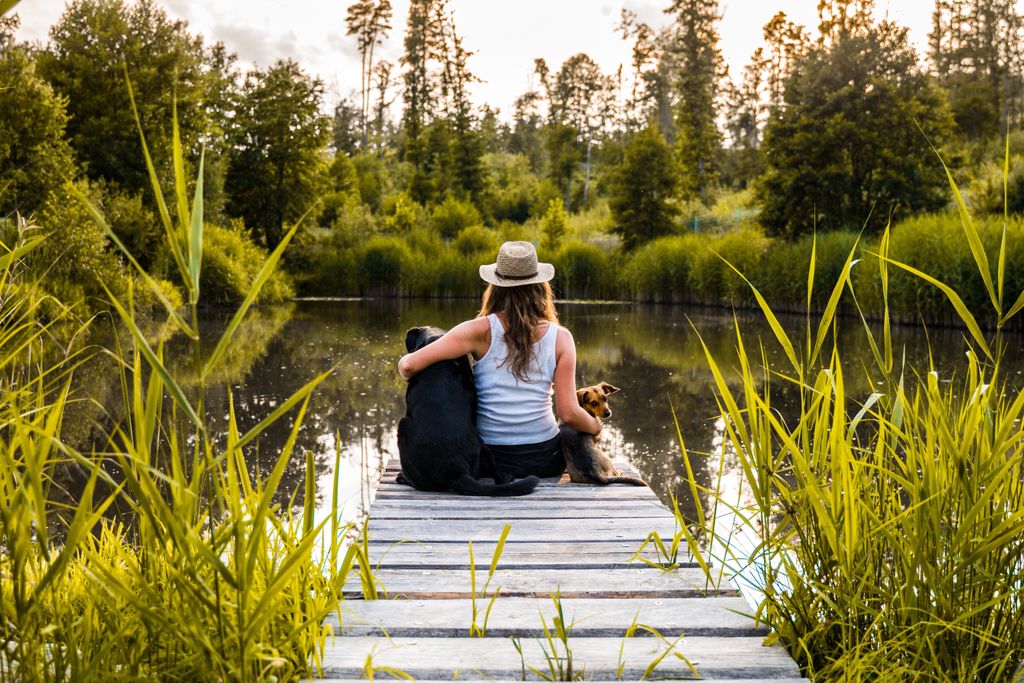 Wilde Heimat, malerische Anlage inmitten der Natur