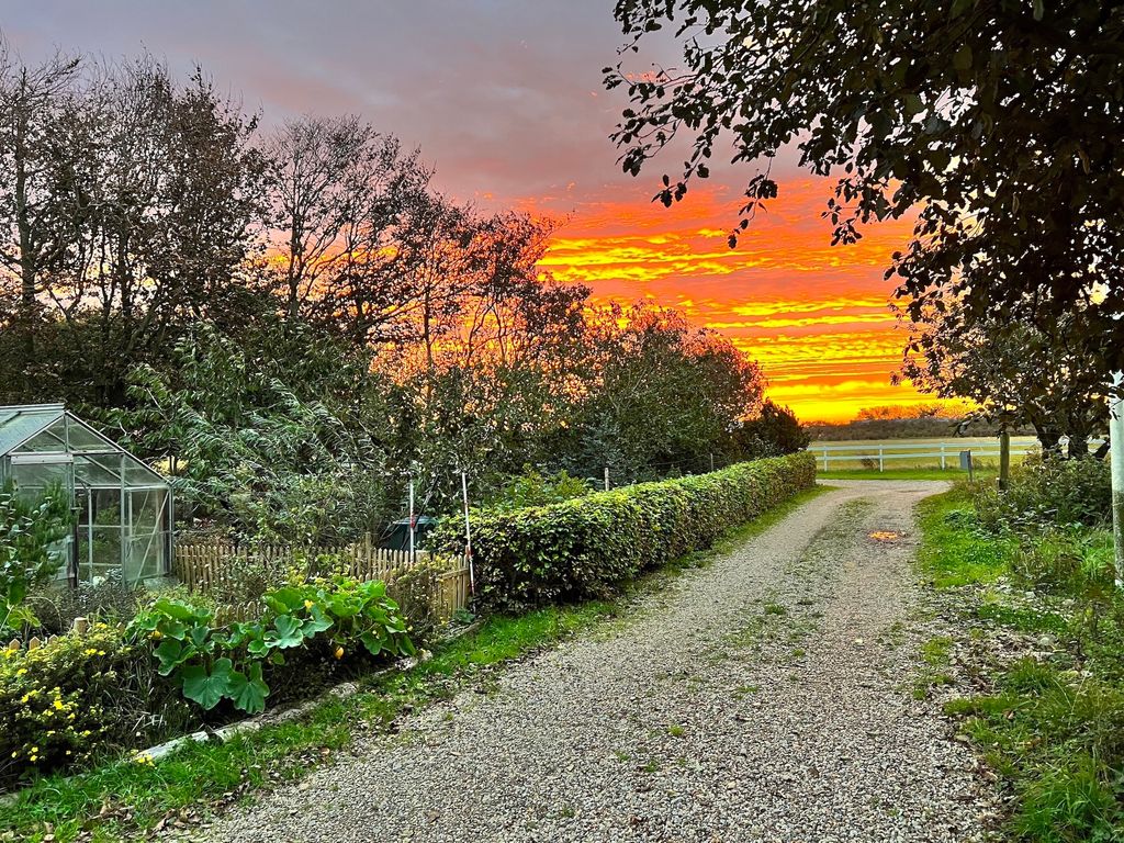 Nature camping for adventurers by Ringkøbing Fjord