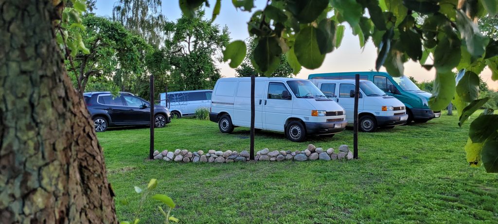 Bienvenue sur notre « Bulli-Wiese »