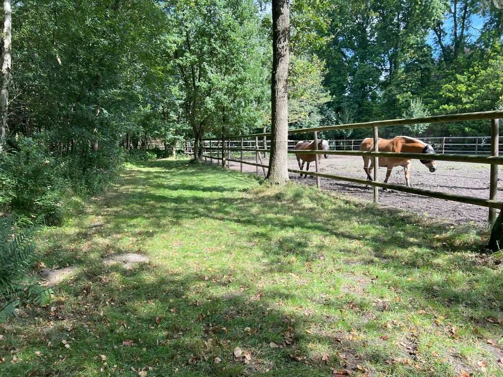 En la granja entre prado y bosque