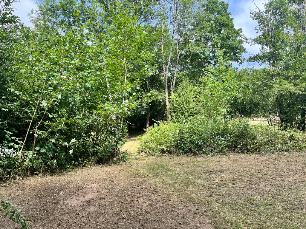 Small clearing - forest pitch on the edge of the Westerwald