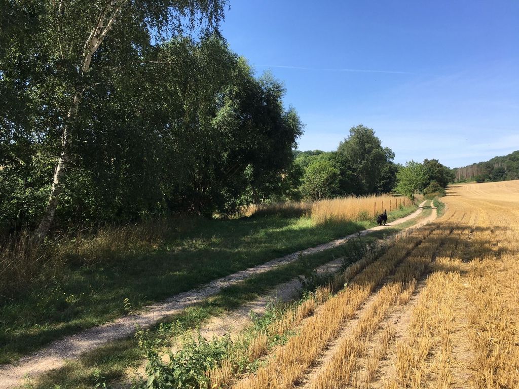 El Olmo - terreno de juego en un prado natural