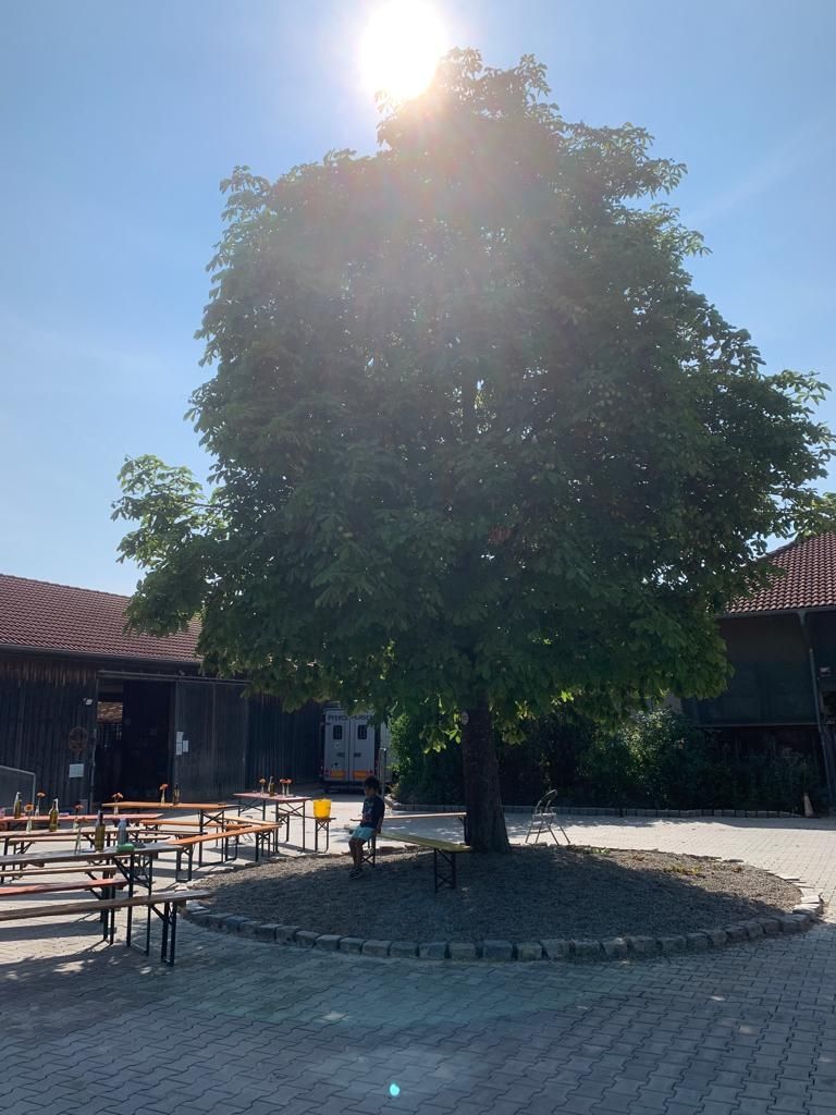 Ponte cómodo bajo nuestro árbol favorito