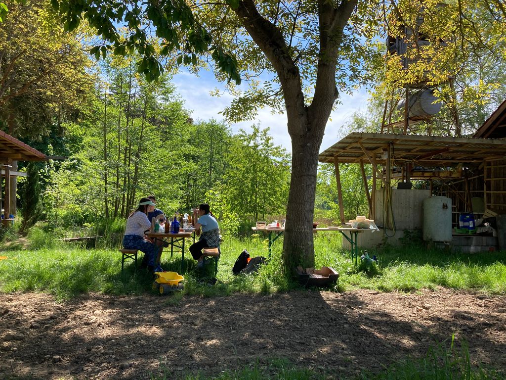 Biotoplandschaft zwischen Wald und Feldflur 