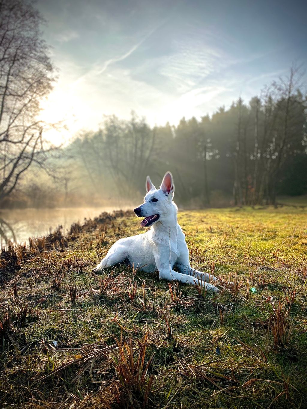 Morgenstimmung an der Schwarzen Laaber