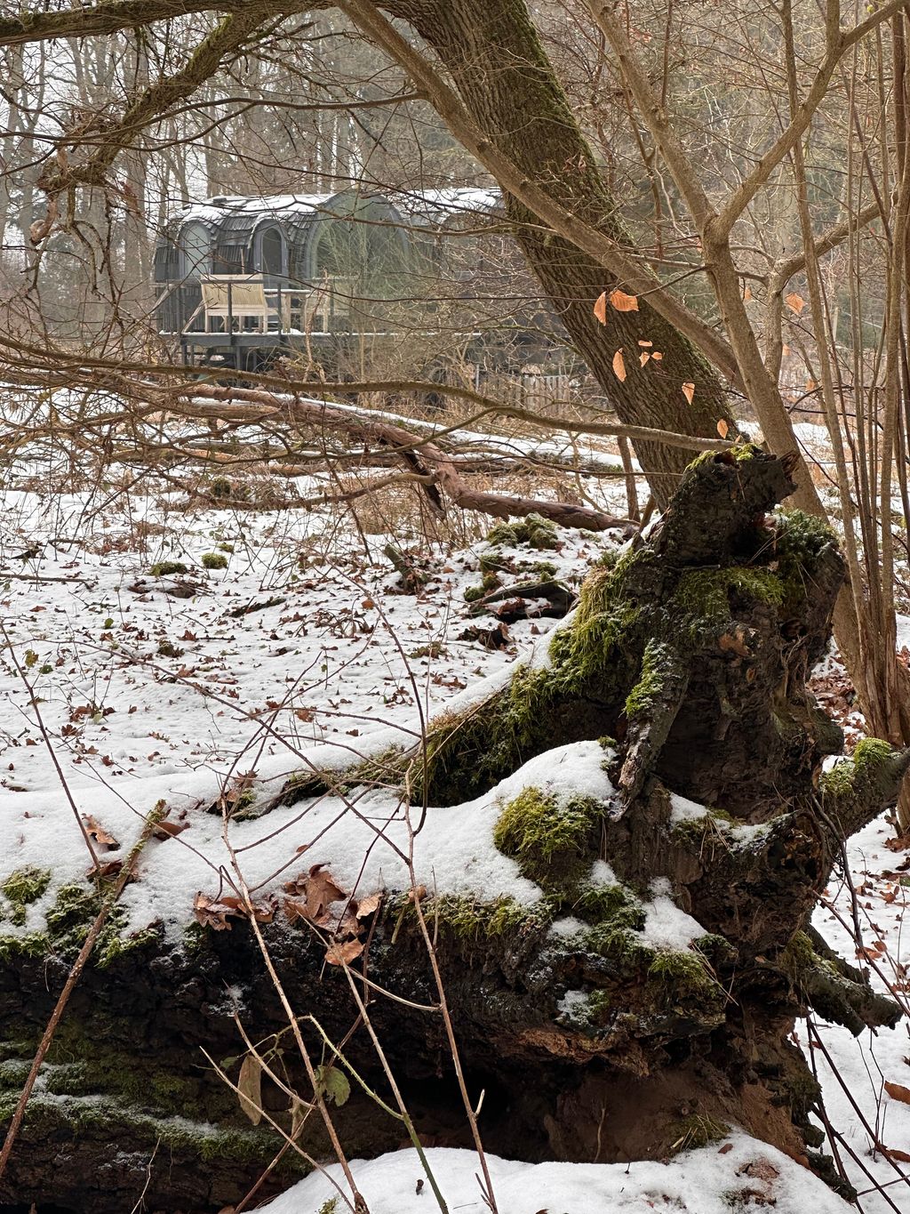 Iglucraft dans le parc naturel de Wendland, près de l'Elbe