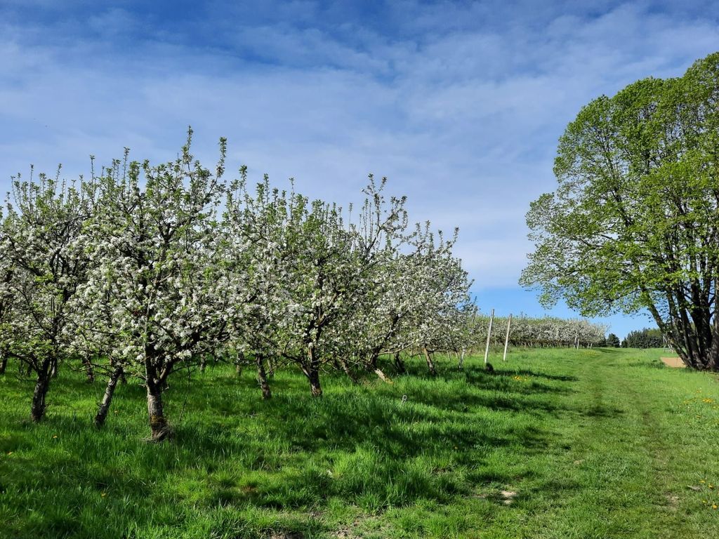 Alpaga/lama/wallaby-Winklhof Pomme/plantation d'aronias