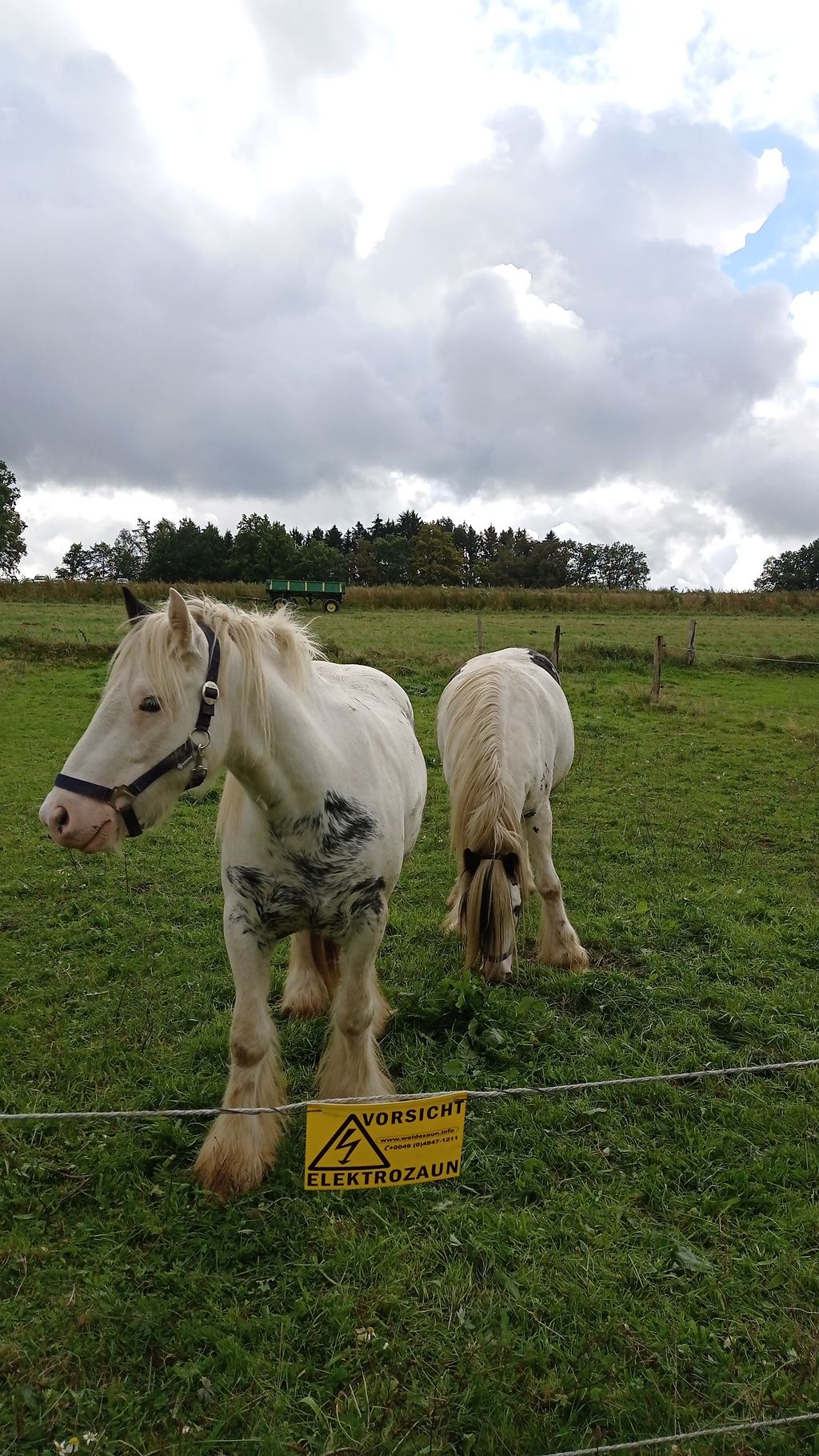 Urlaub auf dem Bauernhof am Rande des Sauerland