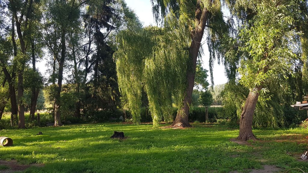 Quiet place between Havel and Elbe