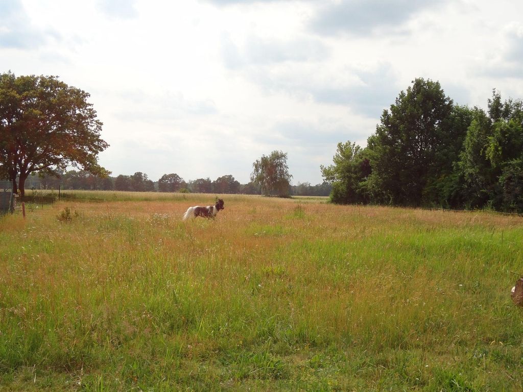 Piazzola ai margini dello Spreewald