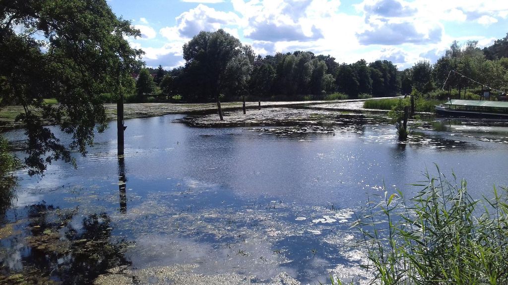 Verwilderter Garten im Seenland Oder/Spree