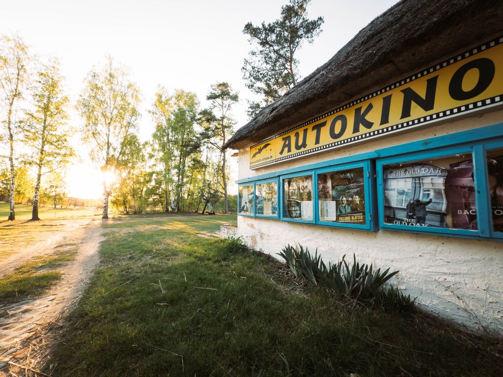Passer la nuit dans un cinéma en plein air culte