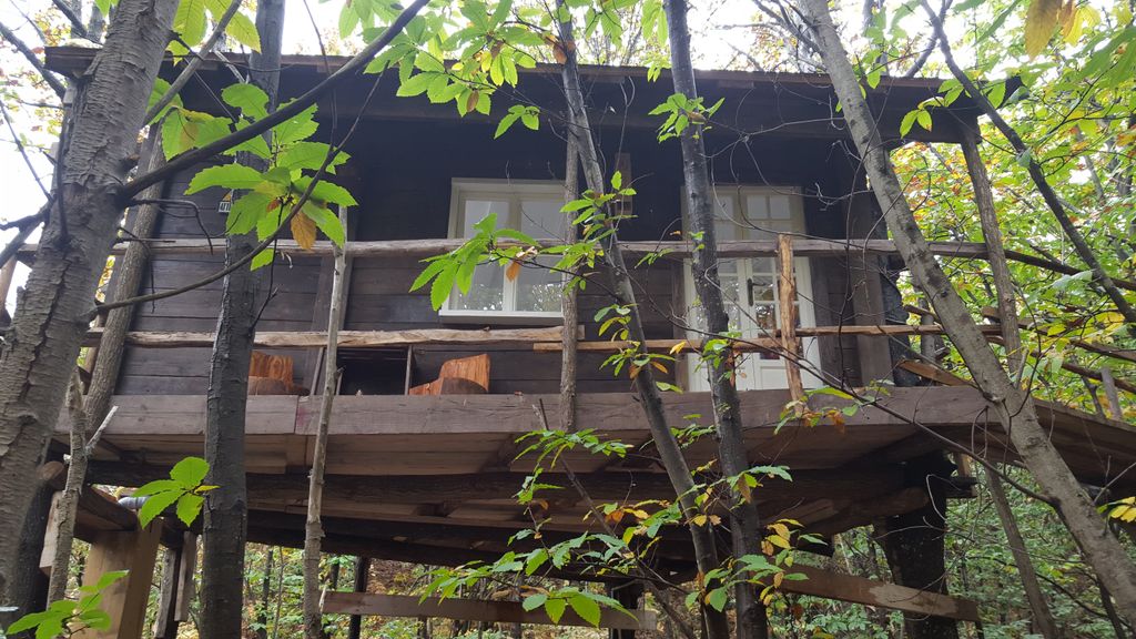 Profitez d'une cabane confortable dans une forêt privée