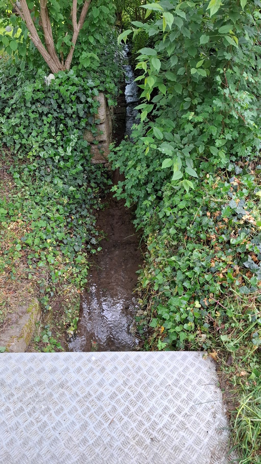 Nel centro della città eppure completamente soli in riva al ruscello