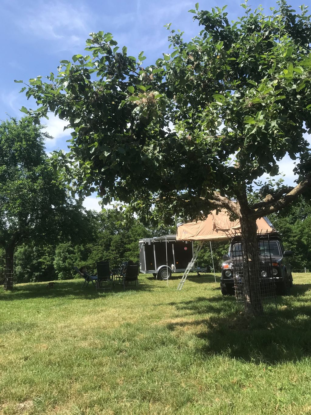 Orchards near distillery and vaulted cellar