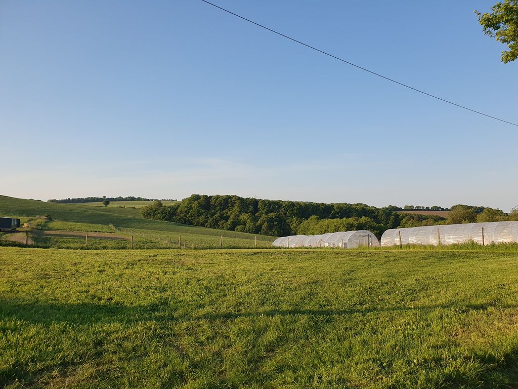Natur pur – Stellplatz nahe Wald und Feld