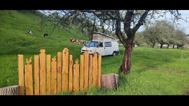 Campeggio in fattoria nell'Argental