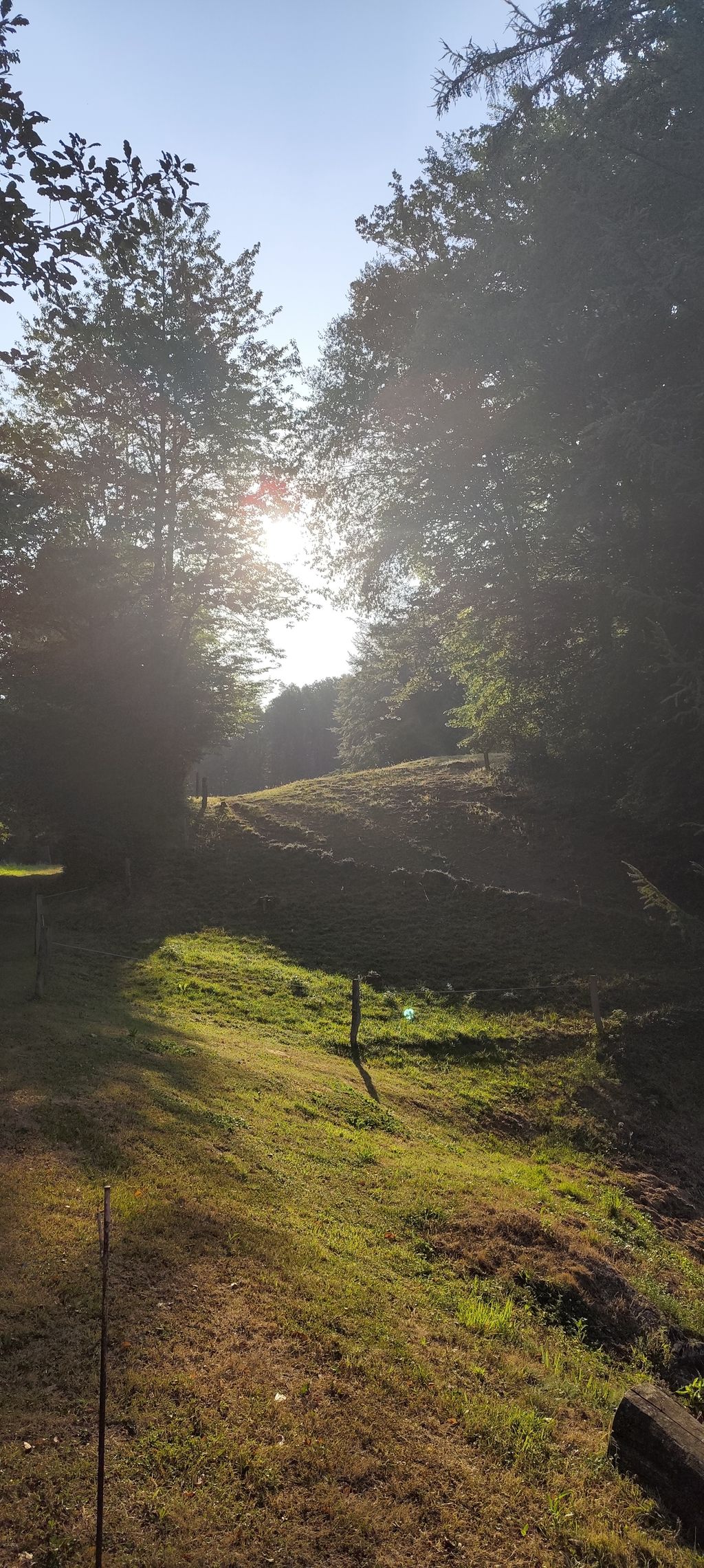 Umgebung