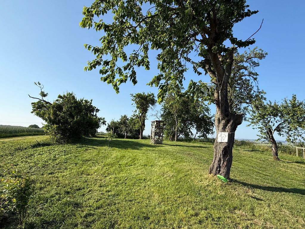 Far from the shot in the meadow orchard