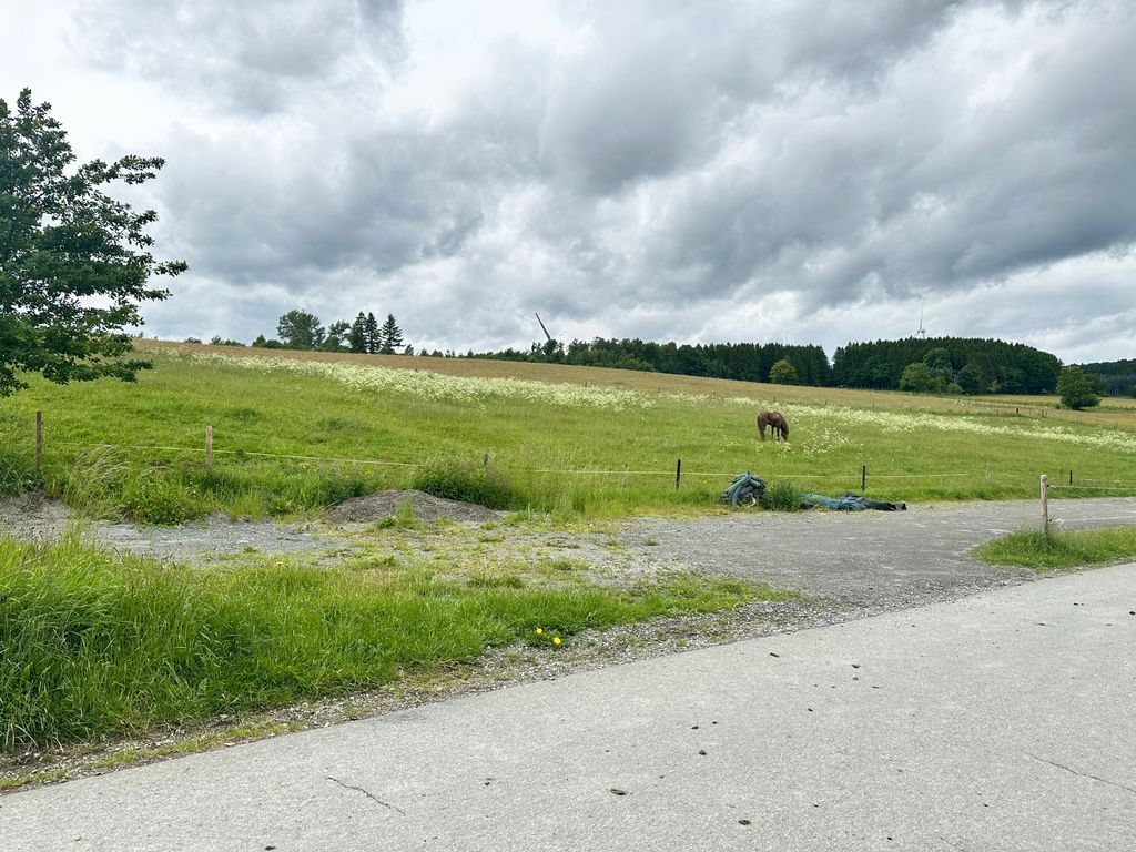 Una estancia de ensueño en el paraíso de los caballos