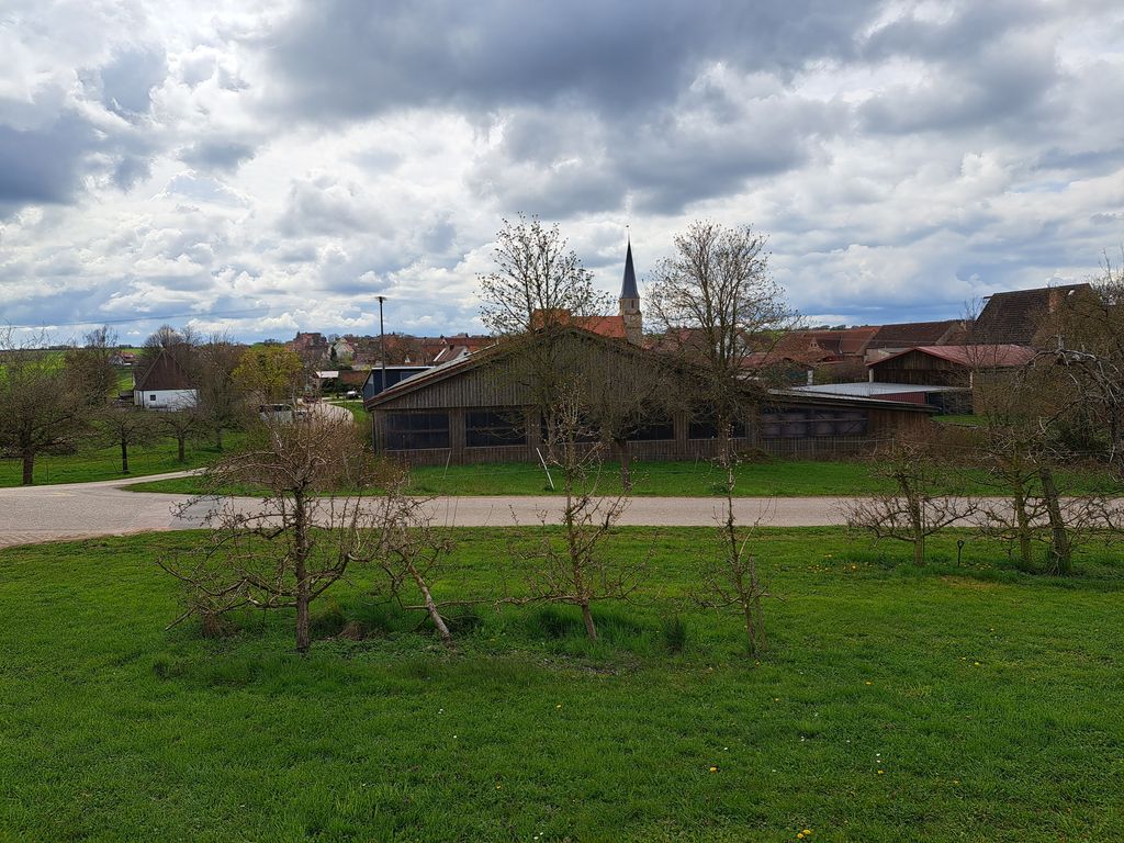 Un tempo meraviglioso nel villaggio delle ciliegie