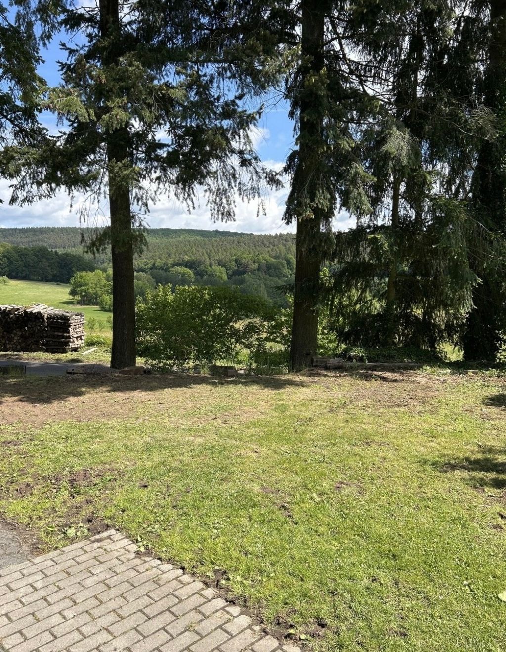 Stellplatz im Grünen: Waldrand Hofcamp