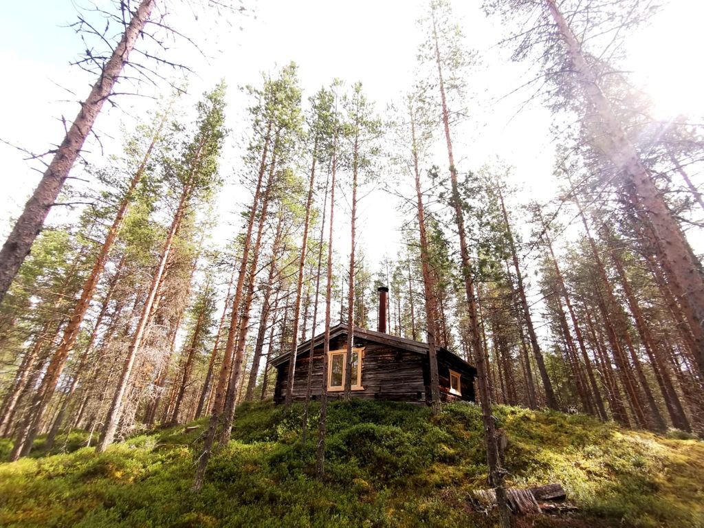 Blockhaus in absoluter Wildnis - "lonely lynx"