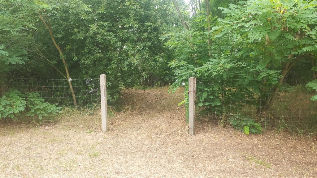 Stellplatz am Kiefernwald 