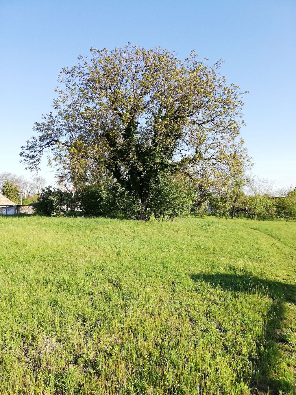Entspannen auf dem Bauernhof