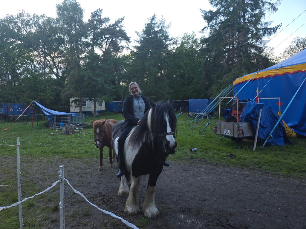Camp on the Circus Meadow in the middle of the forest