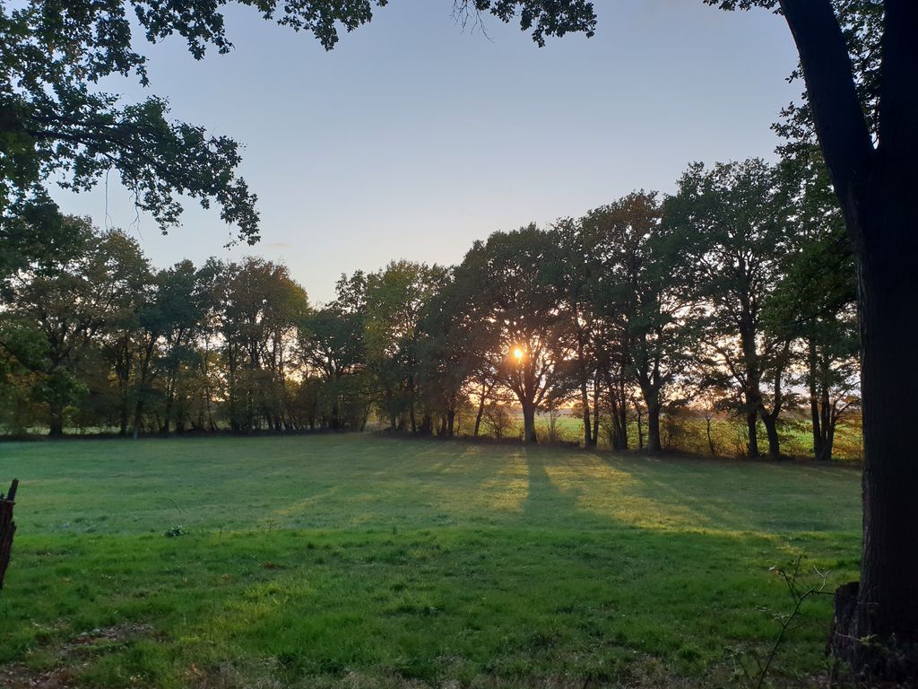 Idyllic meadow by the Tieberteich pond in a secluded location