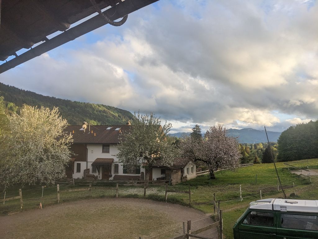 Emplacement à la ferme, près des chevaux