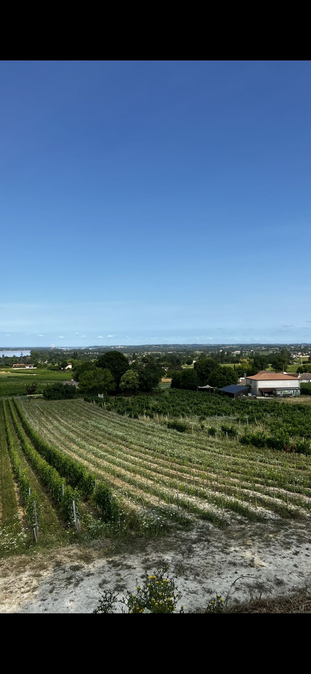 Dégustation & Nuit en Plein Cœur des Vignes