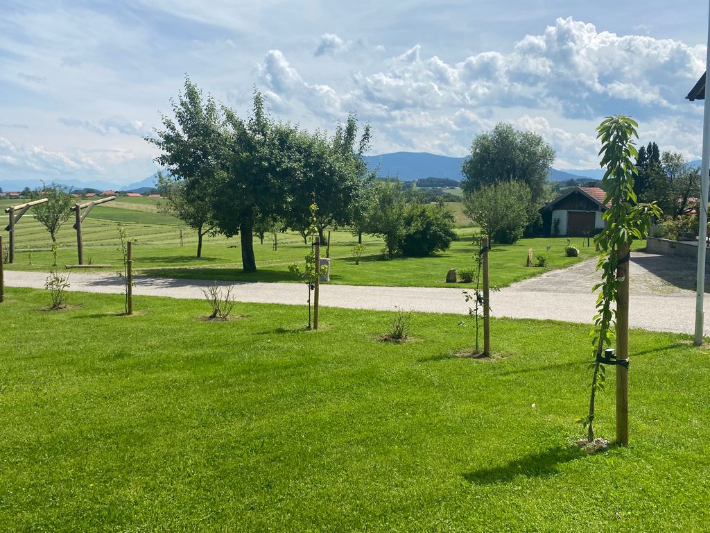 Wiese mit Blick auf die Chiemgauer Berge