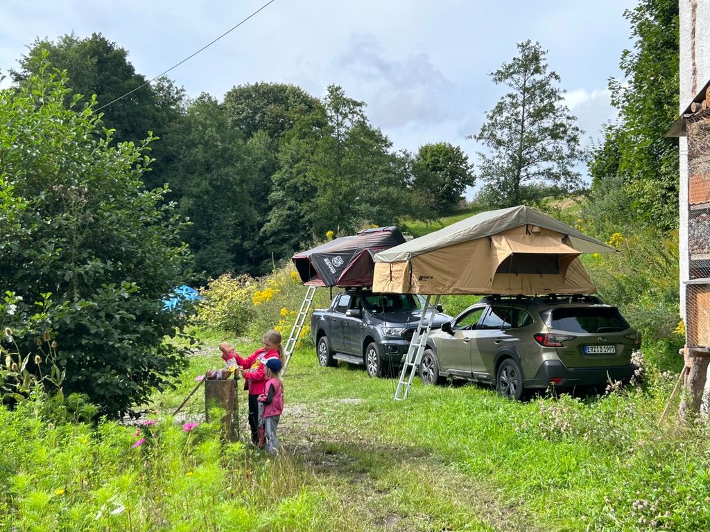 In the Erzgebirge at the Knesenbach