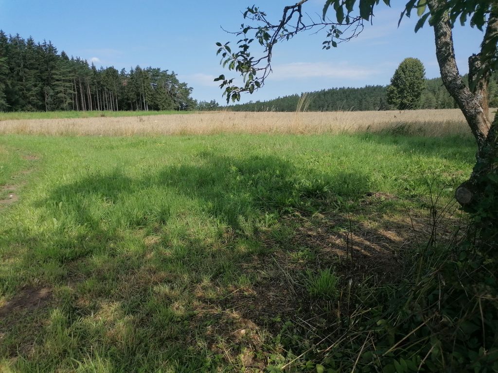 Time out at the gateway to Franconian Switzerland