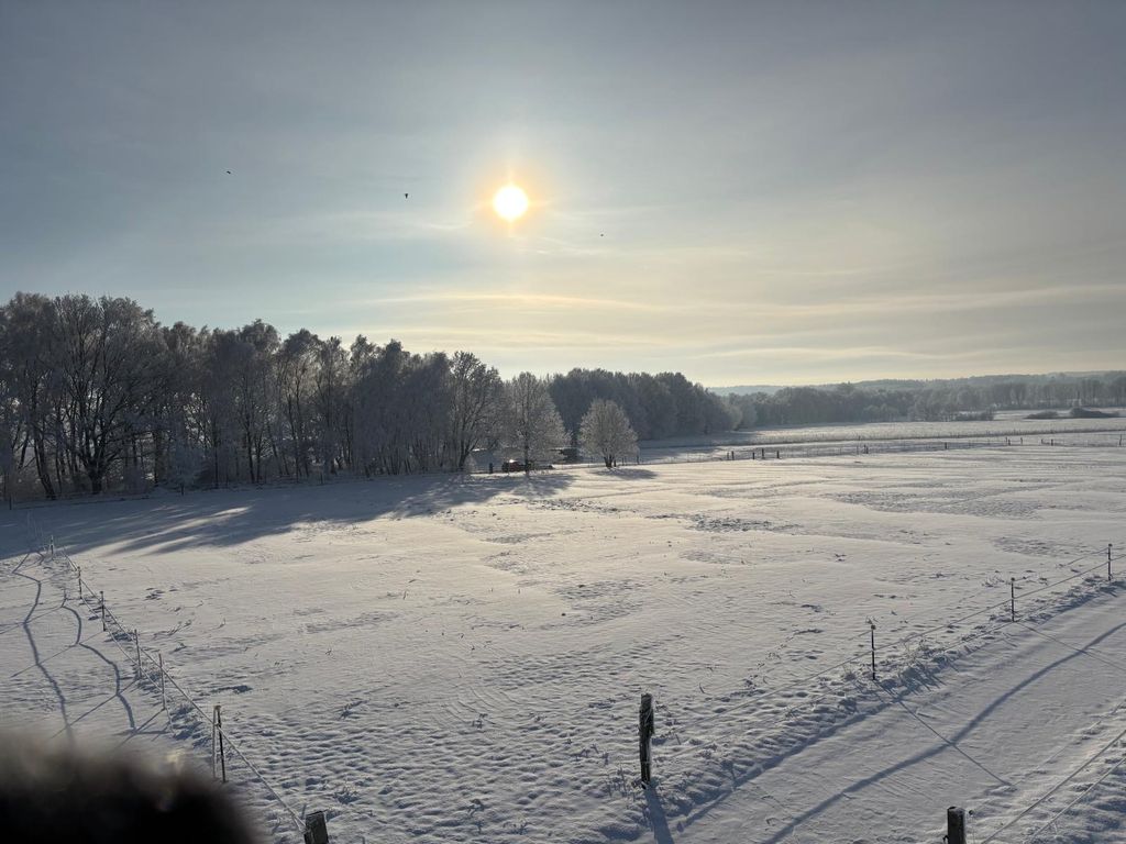 Pastos para caballos en la reserva natural de Lüneburg Heath