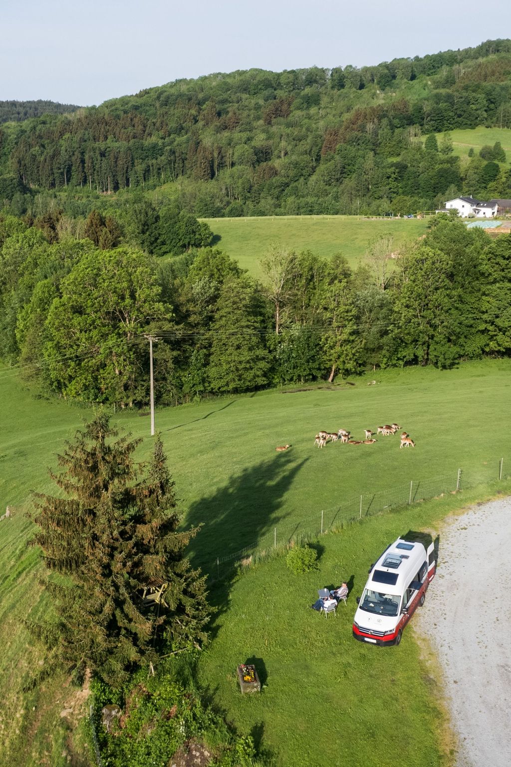 Al centro del parco dei cervi della Foresta Bavarese