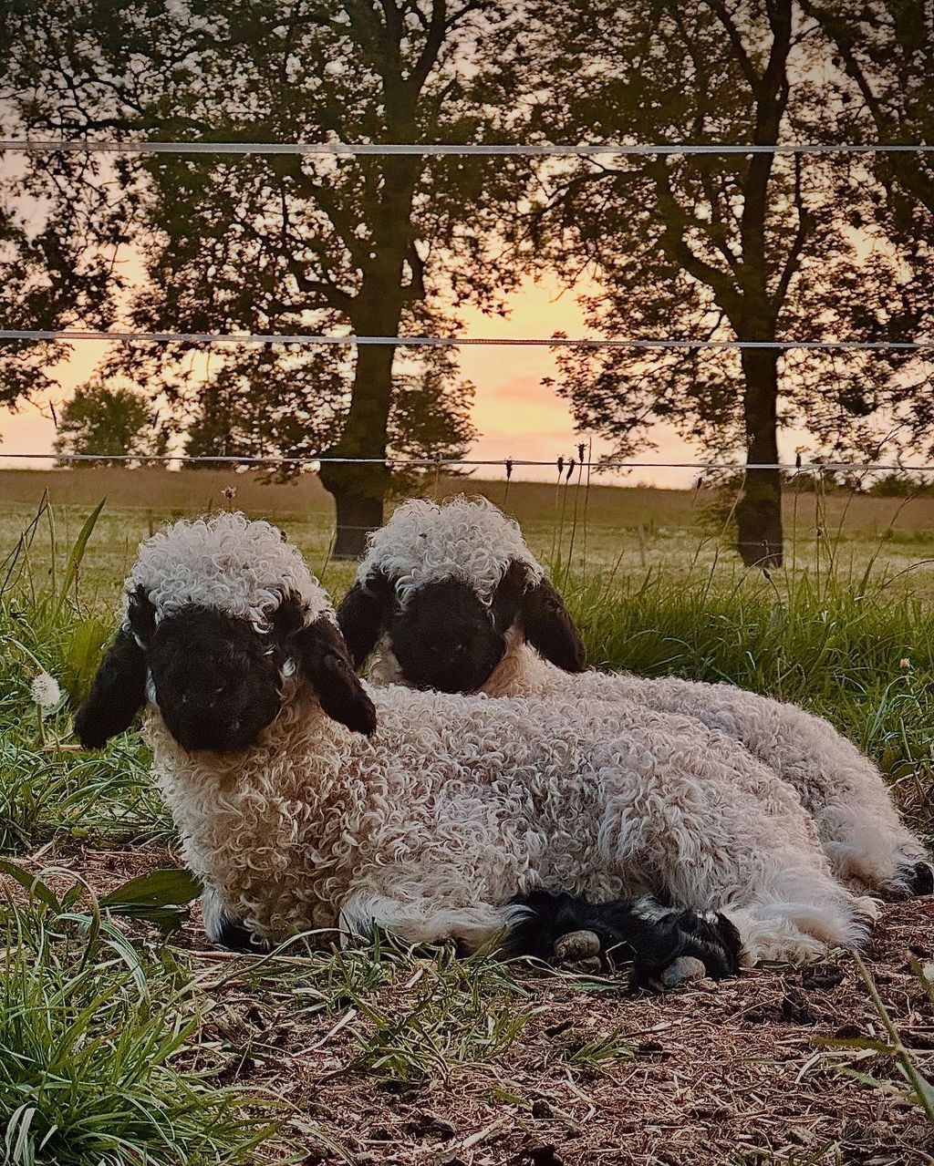 Verträumte Auszeit im Pferdeparadies 