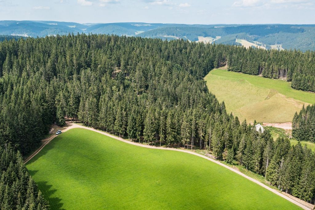Ai margini della foresta nella Foresta Nera con vista