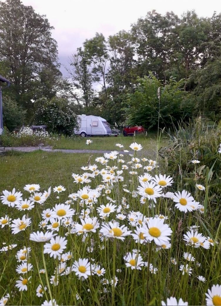 idyllischer Hof in der nördlichen Uckermark