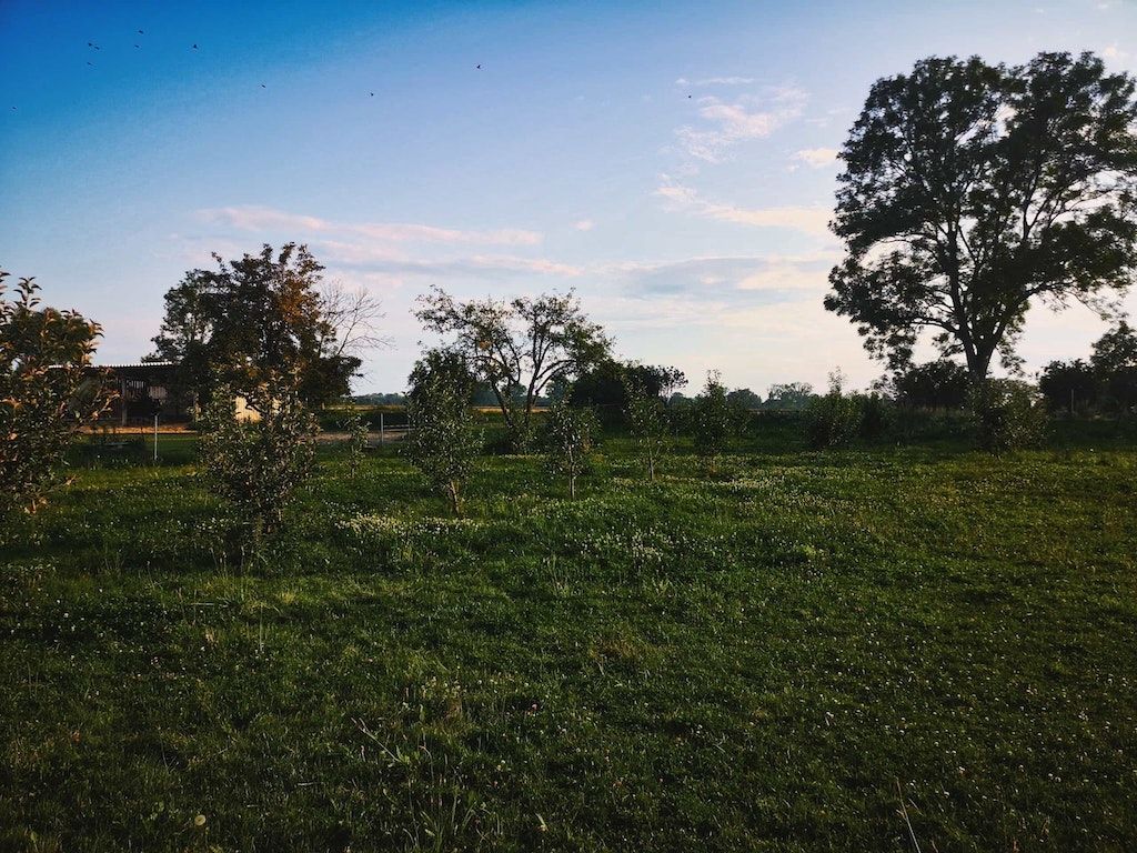Obstgarten an der Pferdewiese 