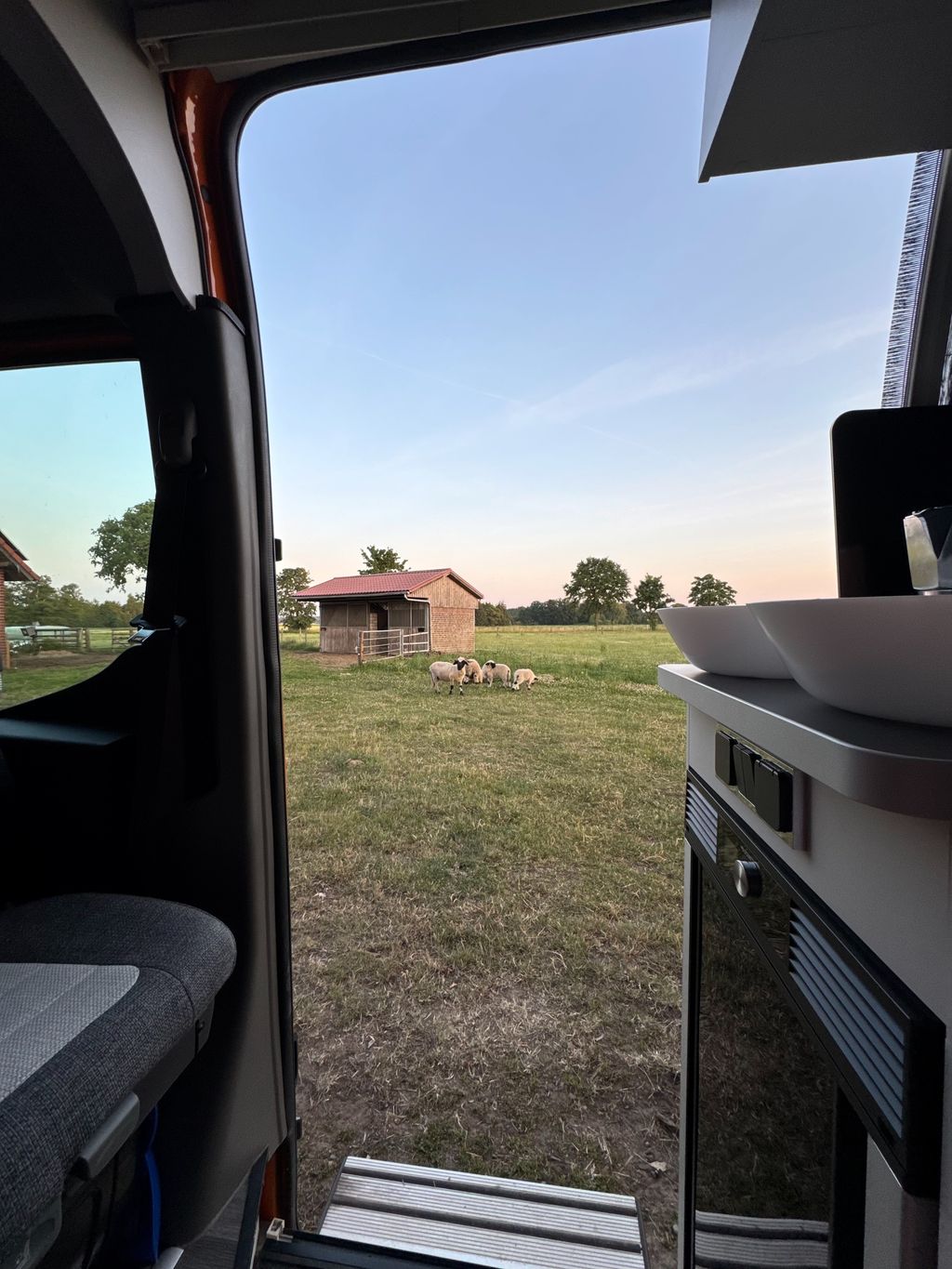 Idylle pur auf kleiner Gallowayfarm