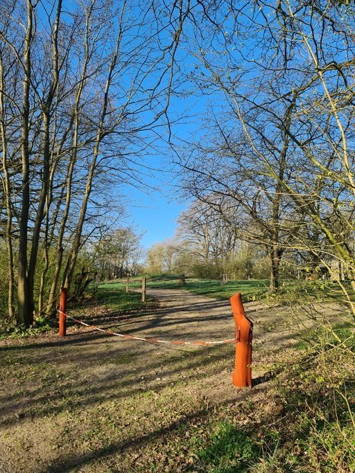 Acampar en el huerto del antiguo bosque de la granja
