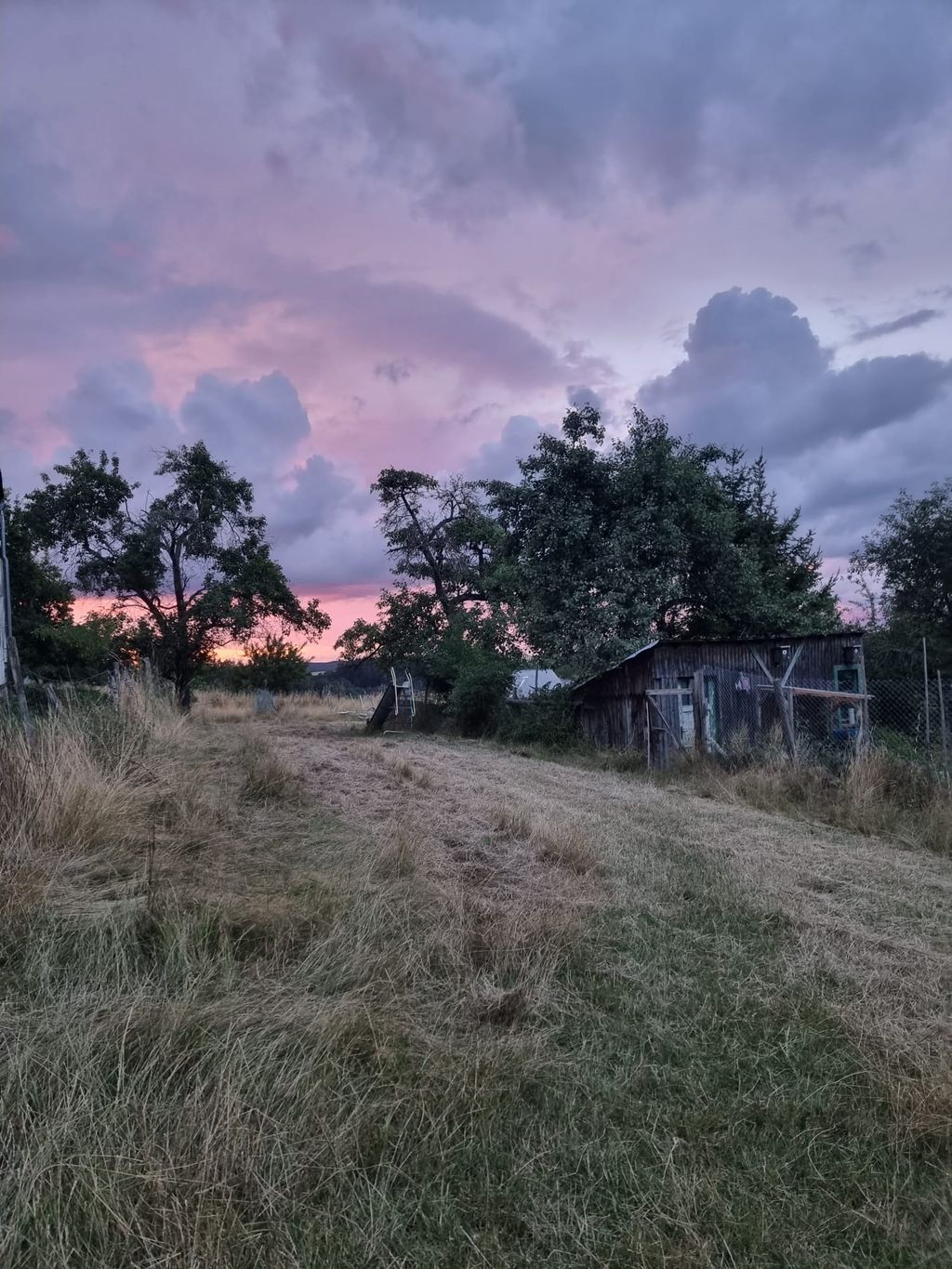 Pradera tranquila en el hermoso Hunsrück