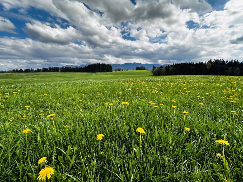 Plaza de aparcamiento cerca de nuestra granja ecológica 