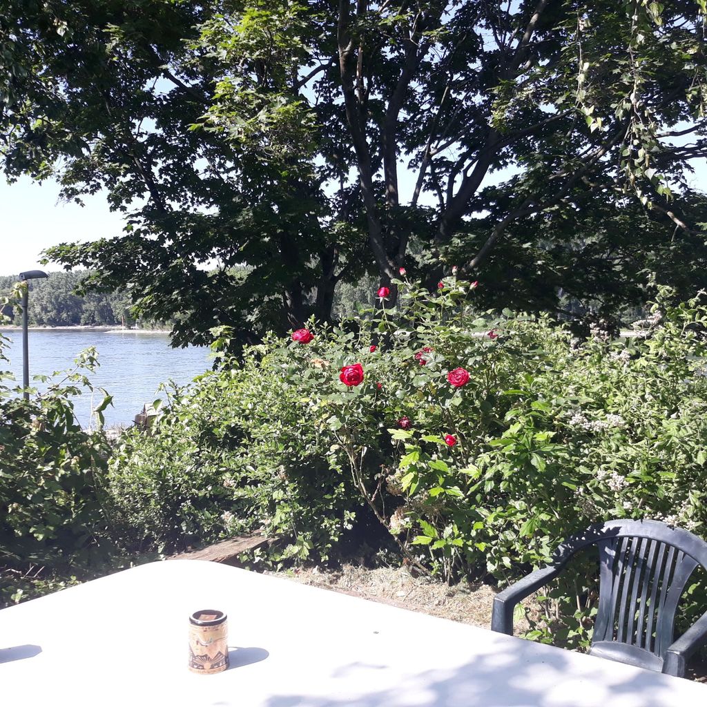 Charming tree house with a view of the Rhine