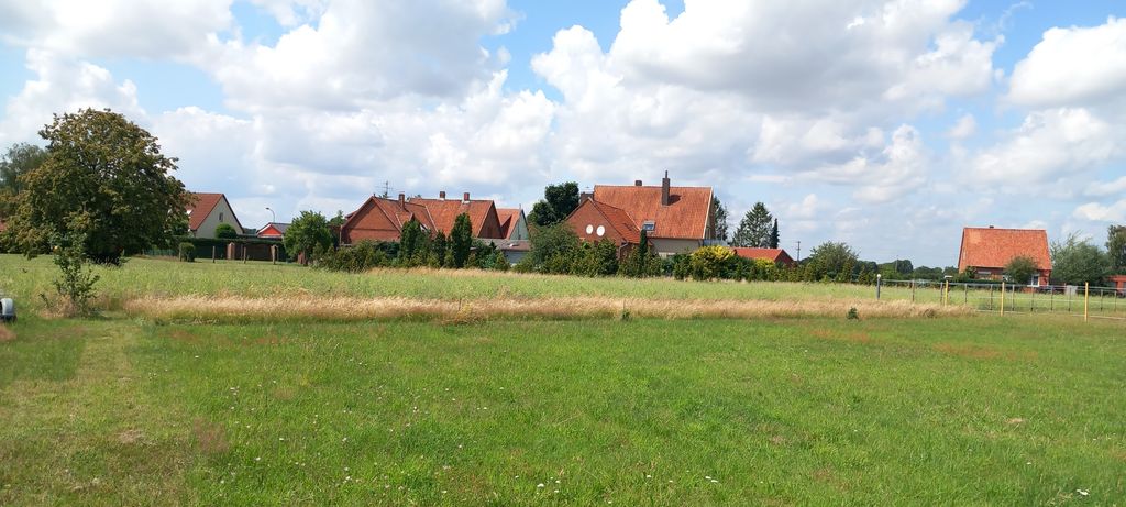 Sonnenbaden auf der Wiese, mit Hase und Elster 