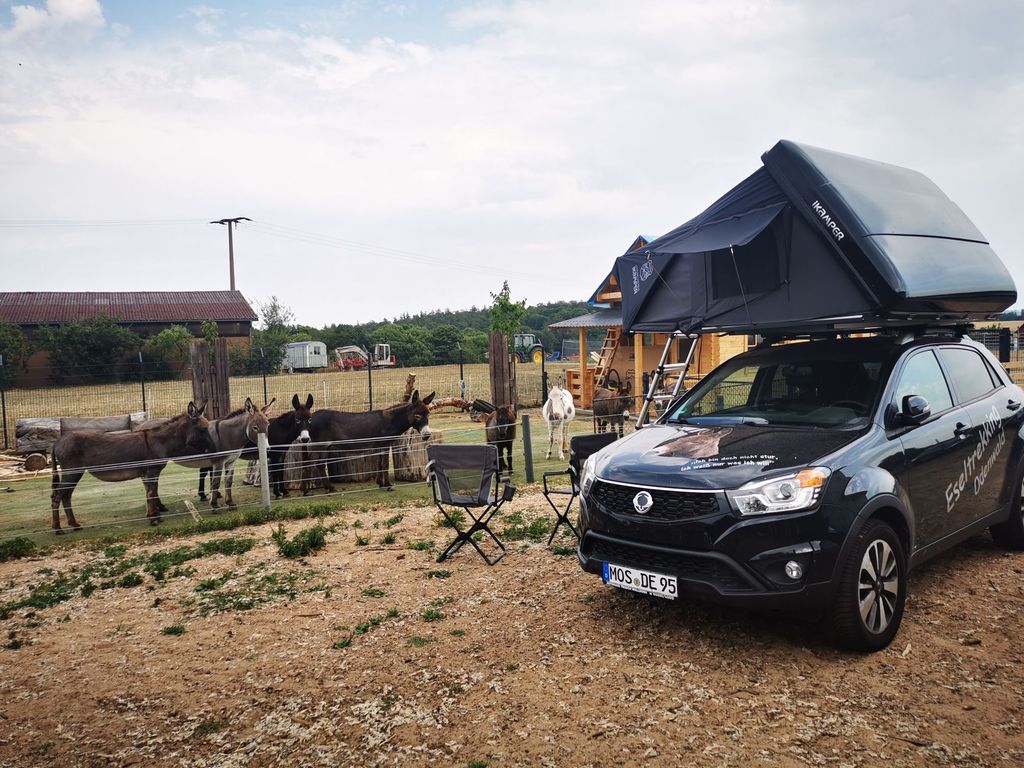 Camping at the donkey enclosure at Erlebnishof Odenwald